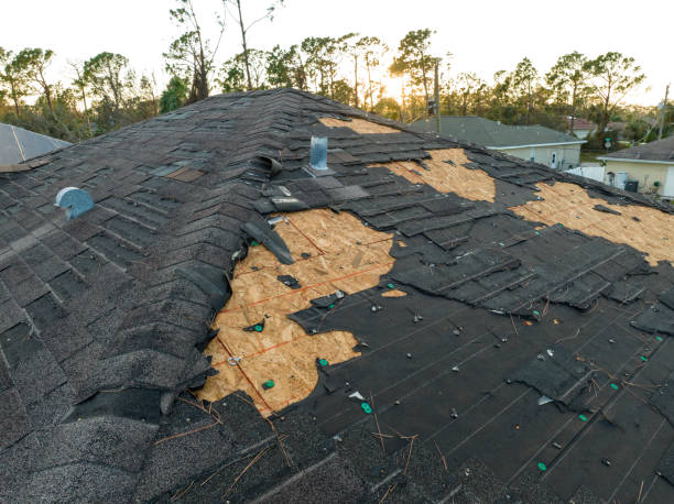 Best Roof Insulation Installation  in Powell, AL